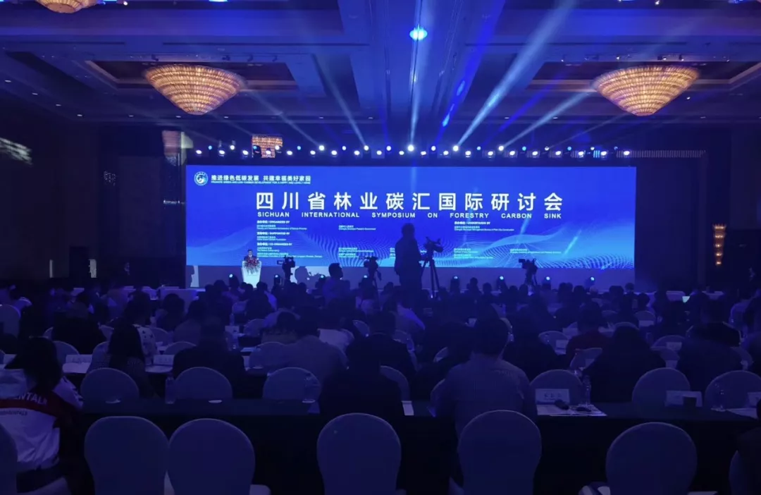 打造绿色低碳公园城市样本，成都这样做